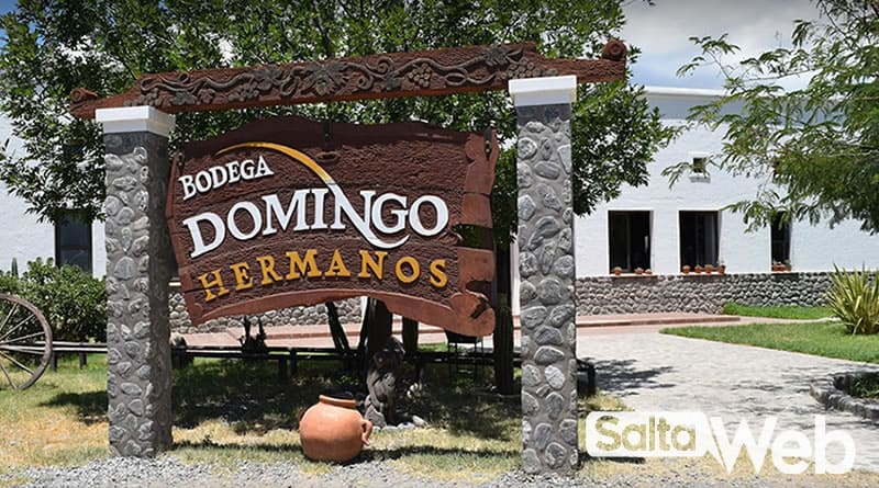 Bodega Domingo Hermanos - Cafayate