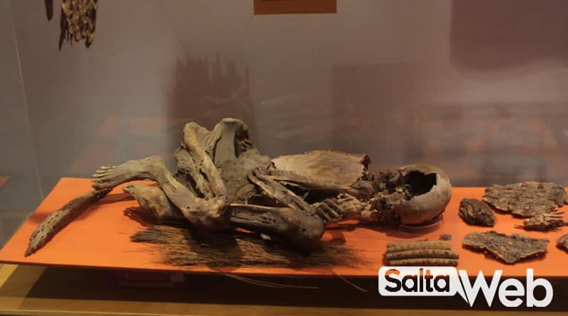 fosiles aborigenes museo de cachi
